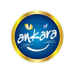 Ankara Büyükşehir